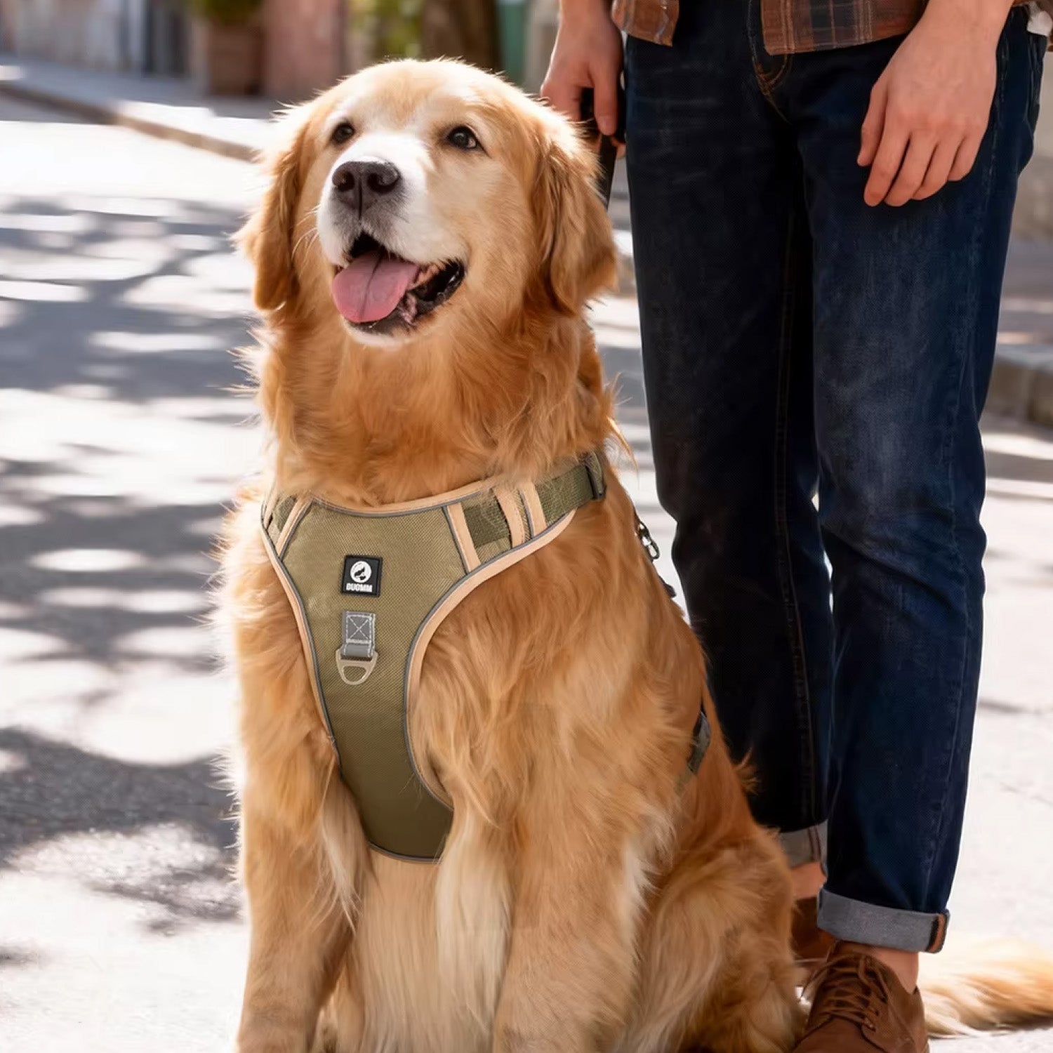 Person walking golden retriever wearing olive green heavy duty no pull harness outdoors showing size and fit for large dogs