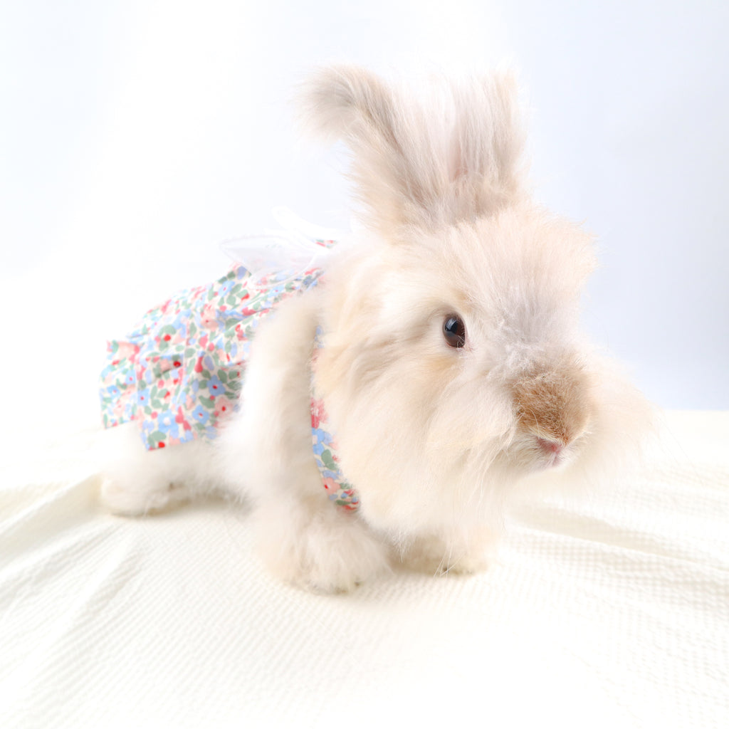 Layered Ruffle Floral Pet Dress – Rabbits, Cats & Small Dog Clothing