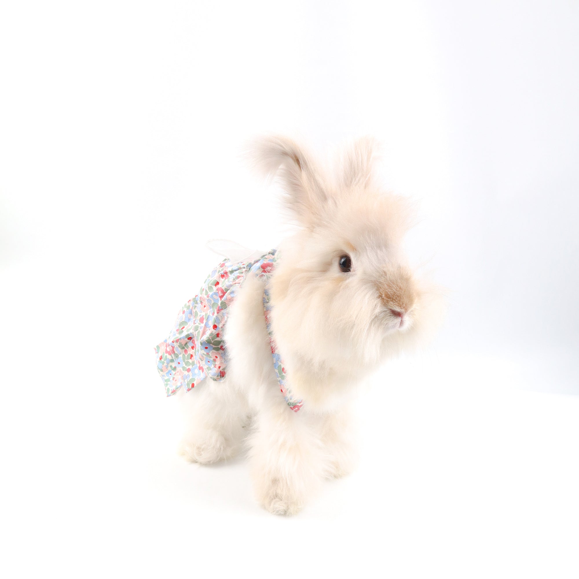 Layered Ruffle Floral Pet Dress – Rabbits, Cats & Small Dog Clothing
