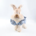 Load image into Gallery viewer, Blue Plaid Pet Dress with Bow

