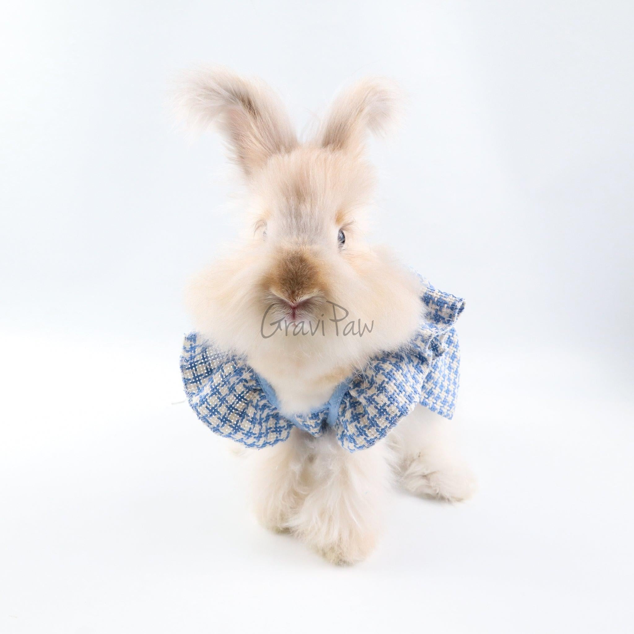 Blue Plaid Pet Dress with Bow