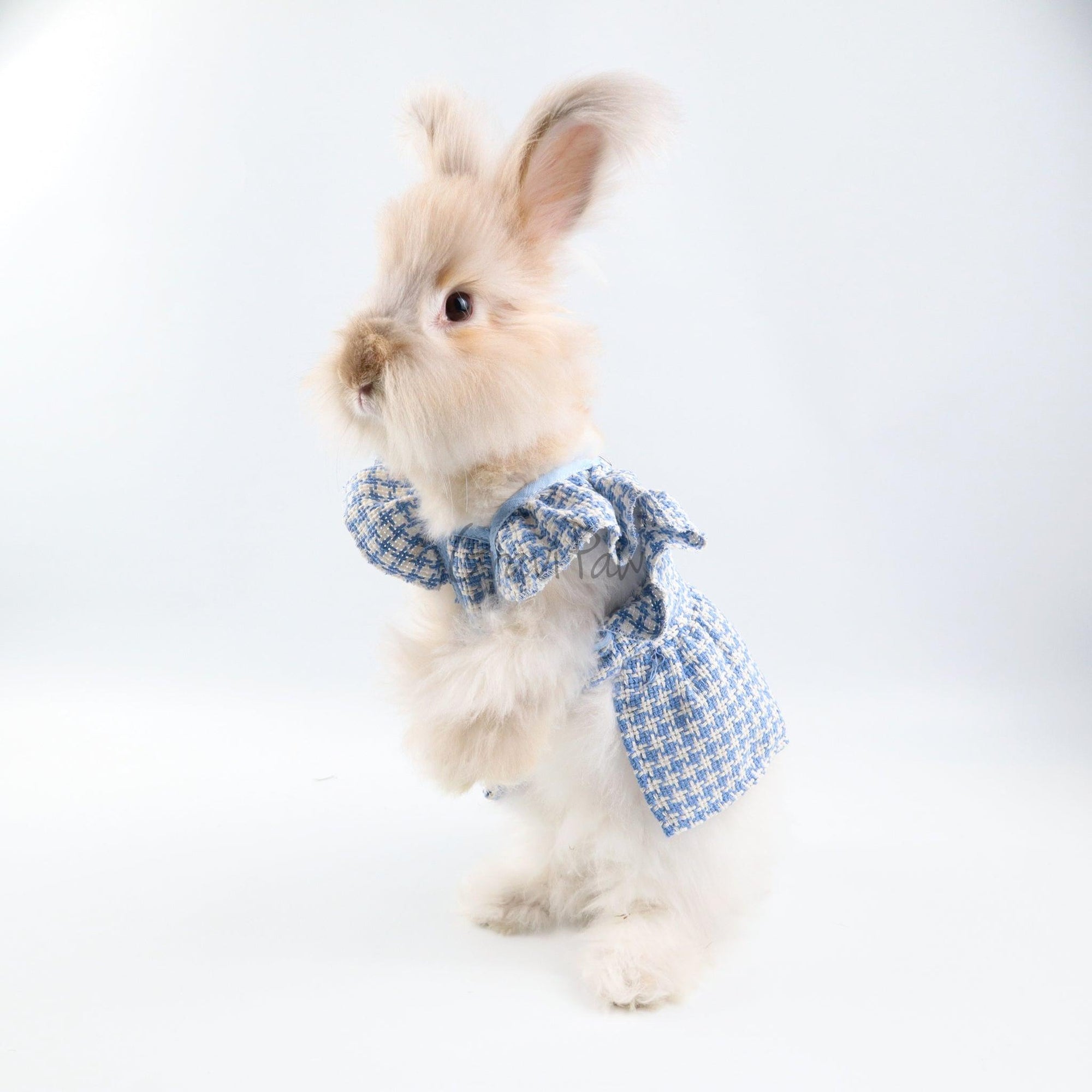 Blue Plaid Pet Dress with Bow