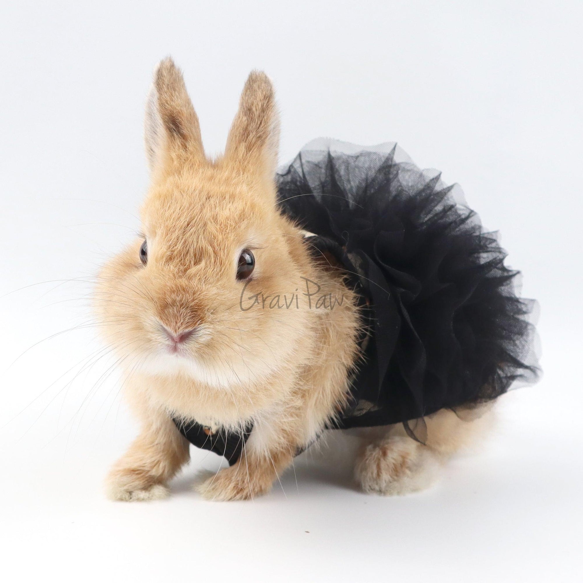 Leopard Tutu Pet Dress – Stylish Outfit for Rabbits, Cats & Small Dogs