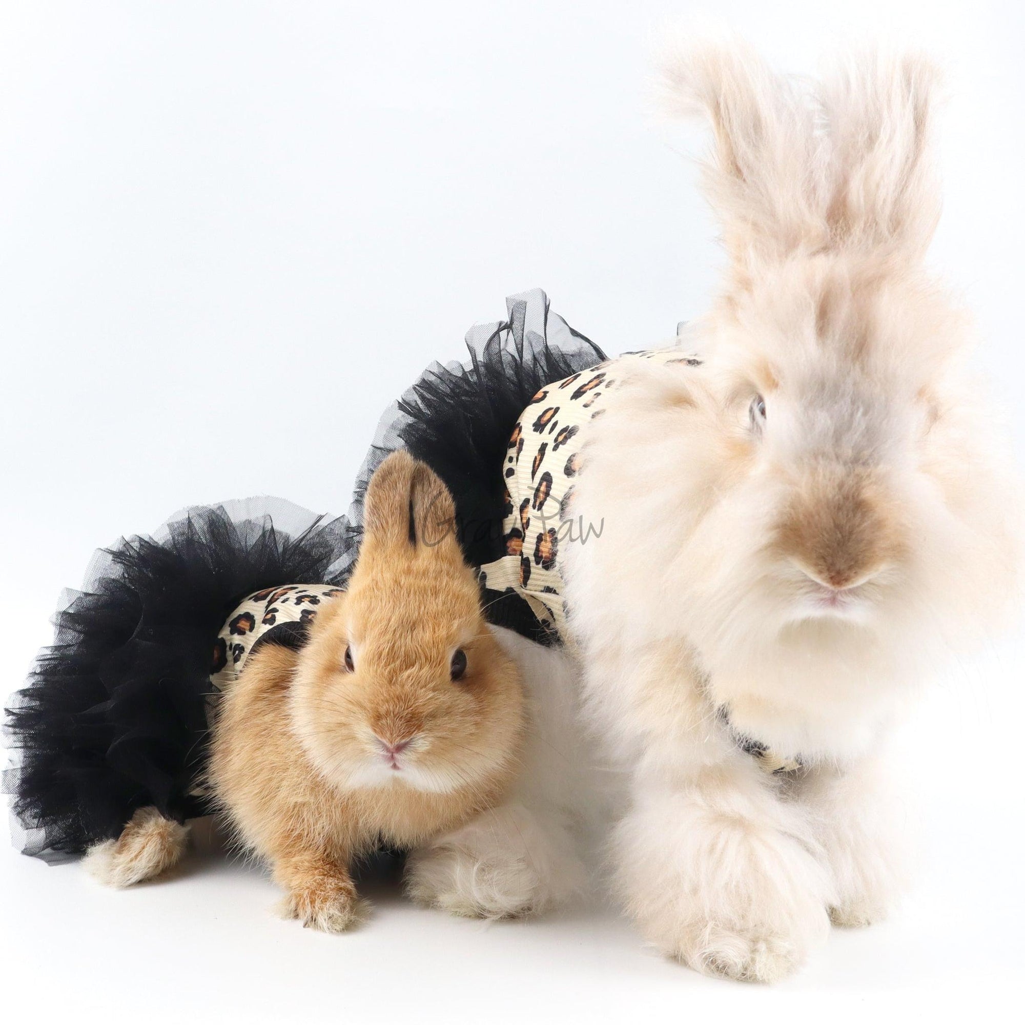 Leopard Tutu Pet Dress – Stylish Outfit for Rabbits, Cats & Small Dogs