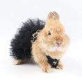 Load image into Gallery viewer, Leopard Tutu Pet Dress – Stylish Outfit for Rabbits, Cats & Small Dogs
