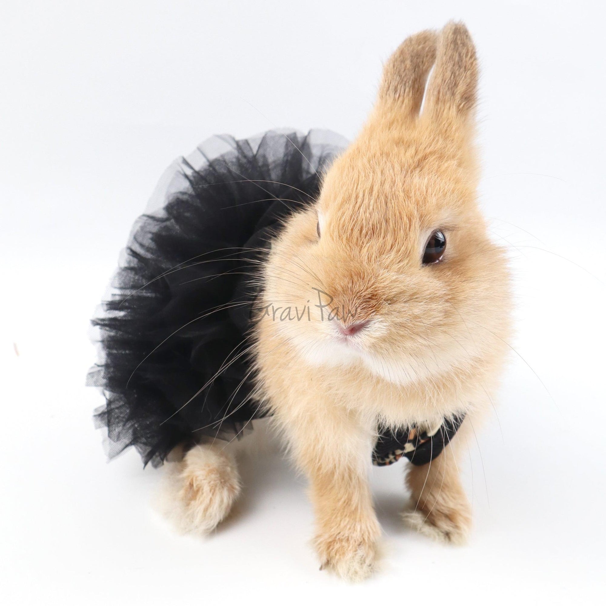 Leopard Tutu Pet Dress – Stylish Outfit for Rabbits, Cats & Small Dogs