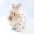 Load image into Gallery viewer, Floral Lace Pet Dress – Elegant Outfit for Rabbits, Cats & Small Dogs
