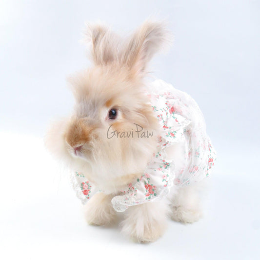 Floral Lace Pet Dress – Elegant Outfit for Rabbits, Cats & Small Dogs