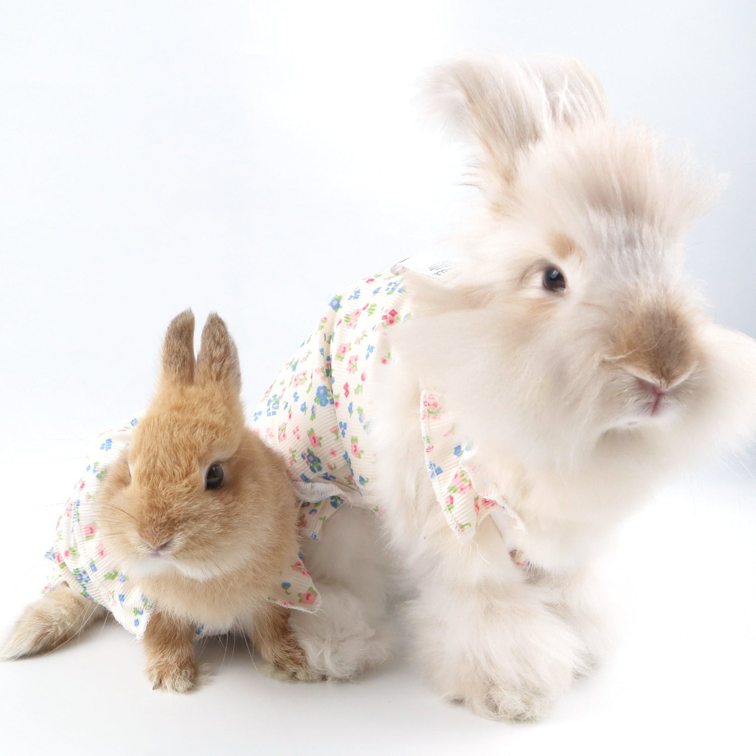 Floral Ruffle Pet Dress with Harness Ring – For Cats, Rabbits & Small Dogs