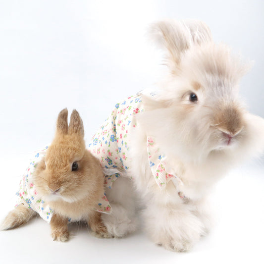 Floral Ruffle Pet Dress with Harness Ring – For Cats, Rabbits & Small Dogs