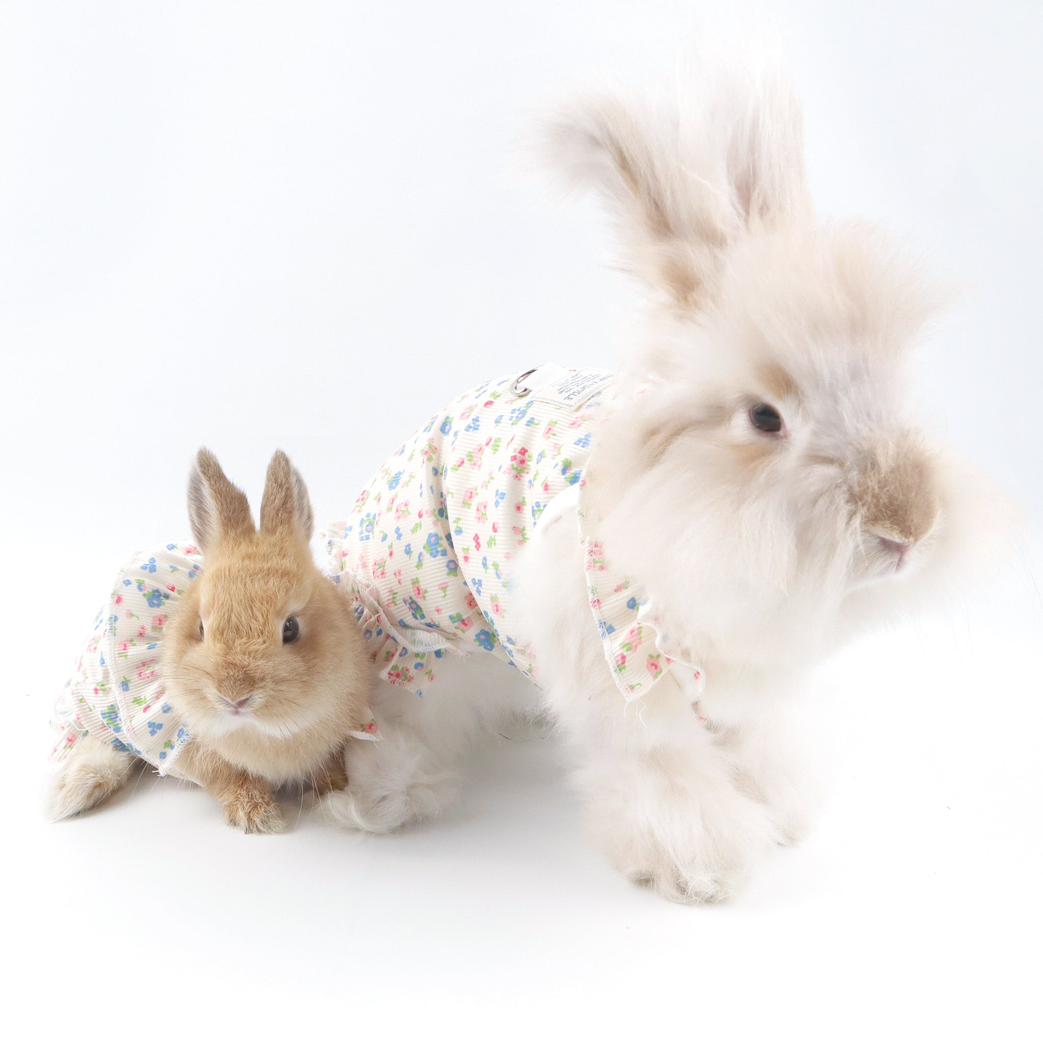 Floral Ruffle Pet Dress with Harness Ring – For Cats, Rabbits & Small Dogs