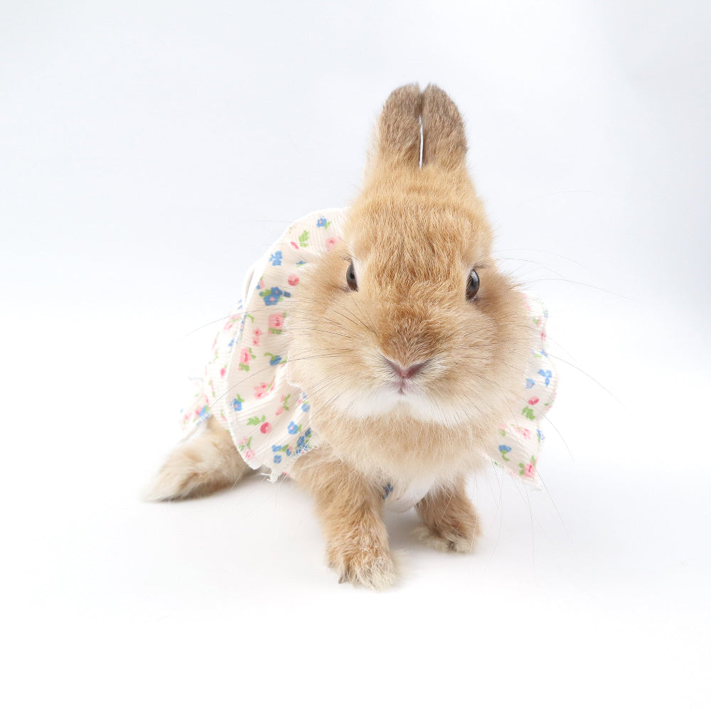 Floral Ruffle Pet Dress with Harness Ring – For Cats, Rabbits & Small Dogs