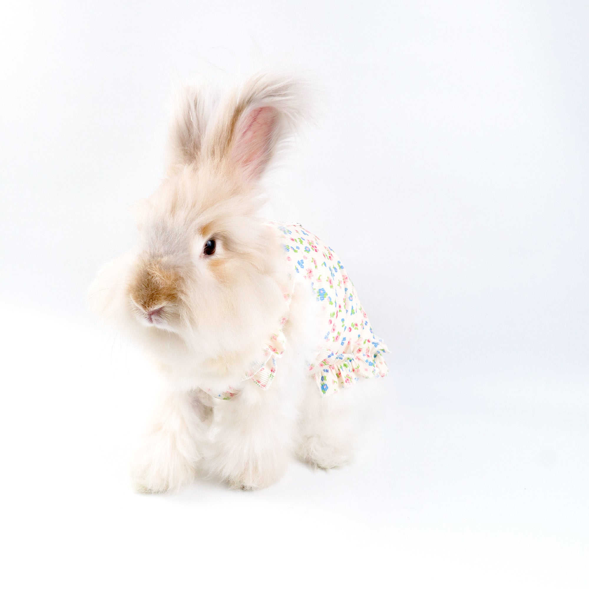 Floral Ruffle Pet Dress with Harness Ring – For Cats, Rabbits & Small Dogs