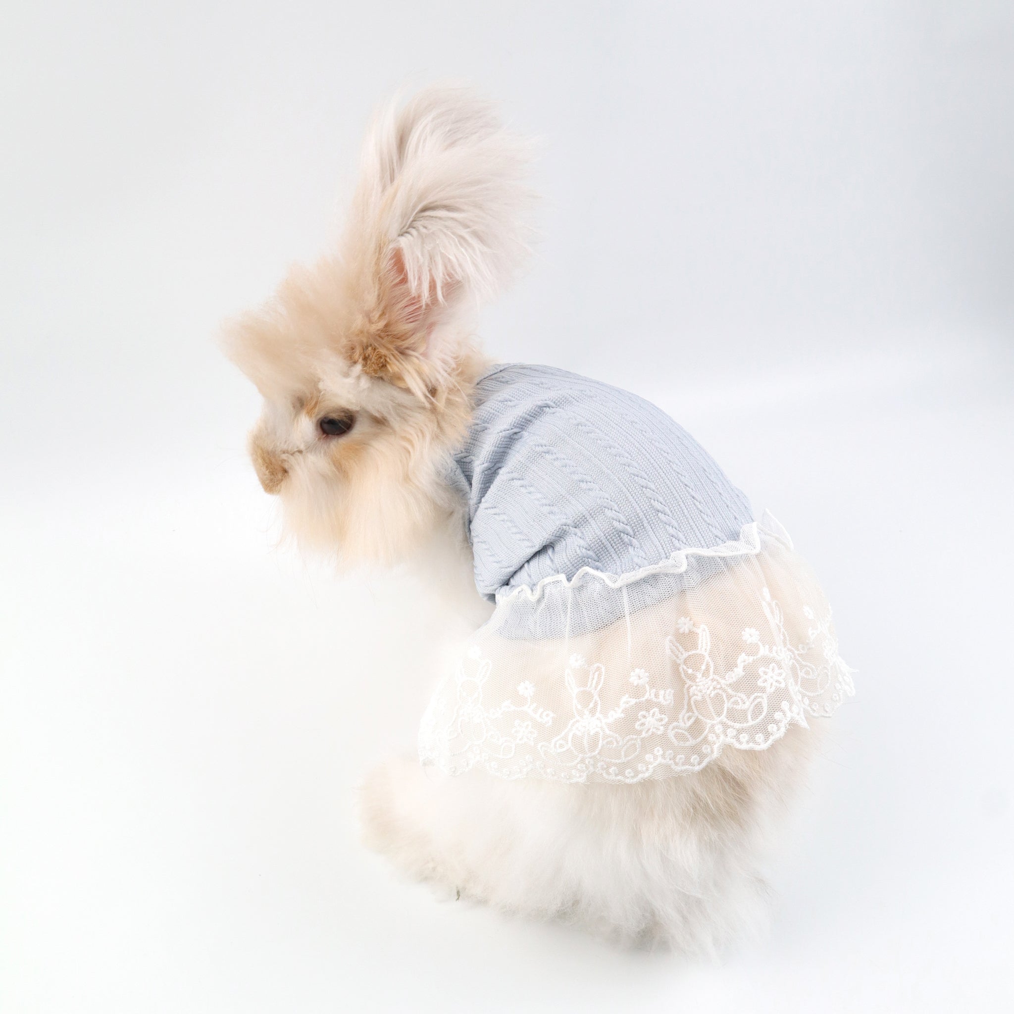 Blue Knit Lace Pet Dress – Cute Outfit for Rabbits, Cats & Small Dogs