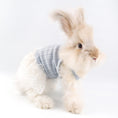 Load image into Gallery viewer, Blue Knit Lace Pet Dress – Cute Outfit for Rabbits, Cats & Small Dogs
