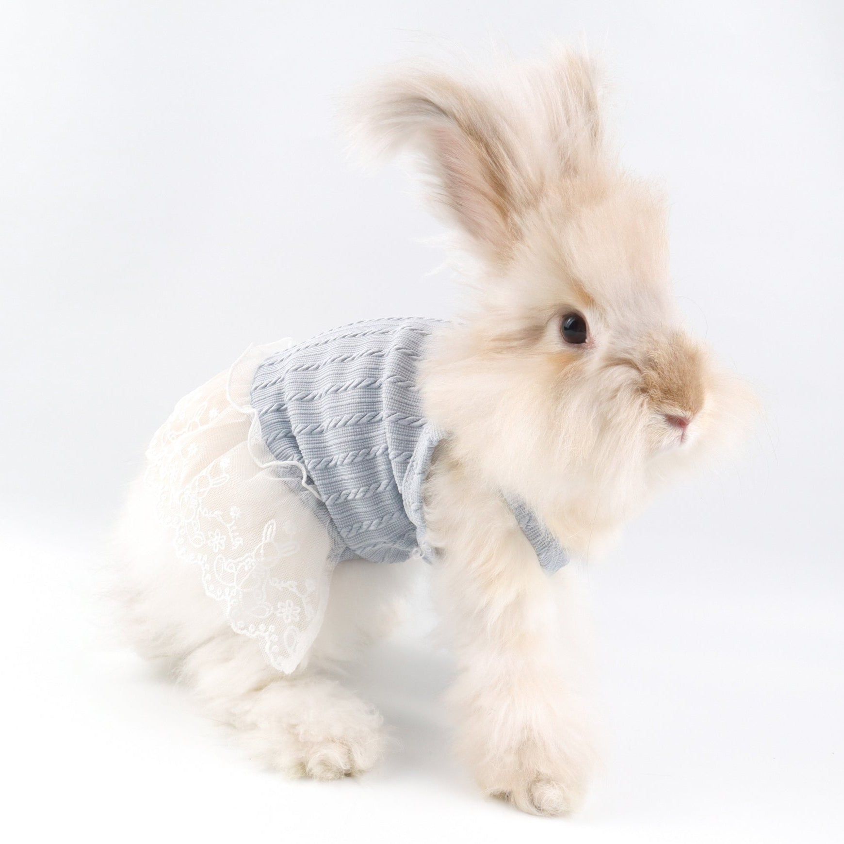 Blue Knit Lace Pet Dress – Cute Outfit for Rabbits, Cats & Small Dogs