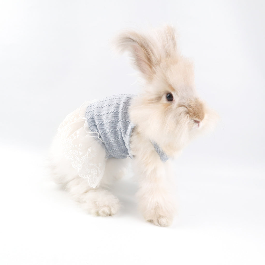 Blue Knit Lace Pet Dress – Cute Outfit for Rabbits, Cats & Small Dogs