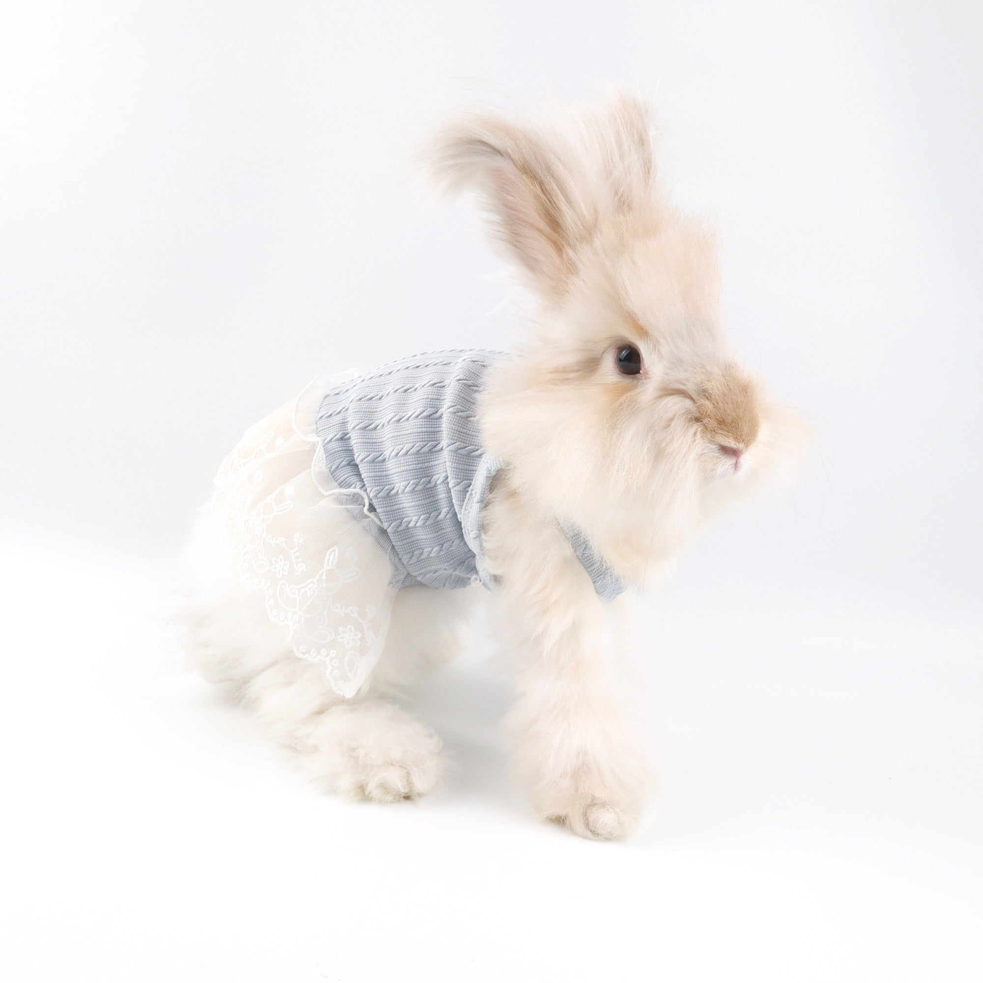 Blue Knit Lace Pet Dress – Cute Outfit for Rabbits, Cats & Small Dogs