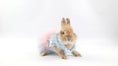 Load image into Gallery viewer, Dog Clothing, Cat & Rabbit Tutu Dress – Pastel Princess

