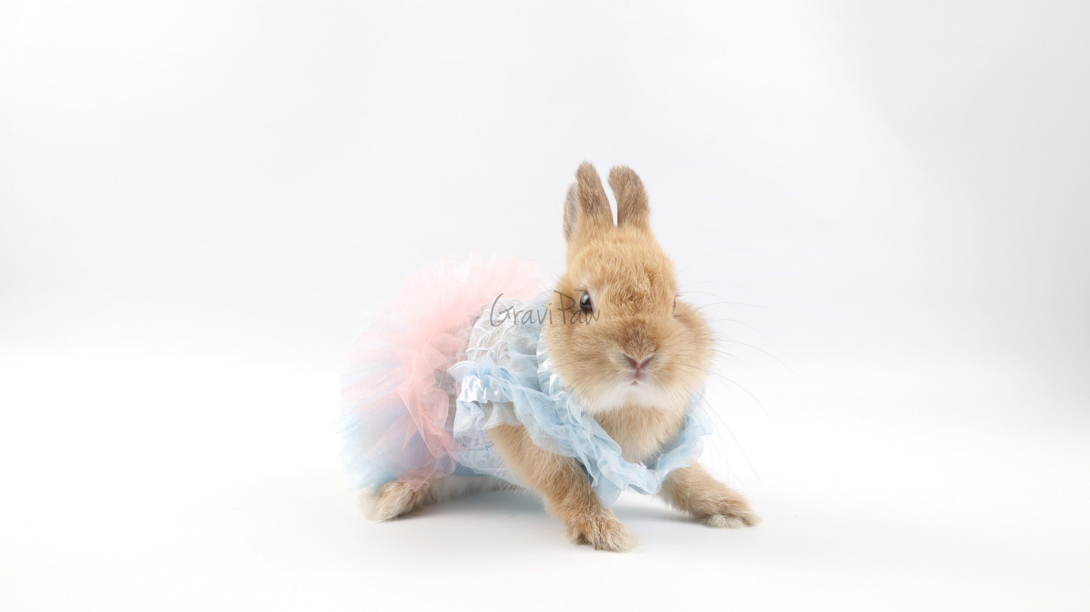 Dog Clothing, Cat & Rabbit Tutu Dress – Pastel Princess