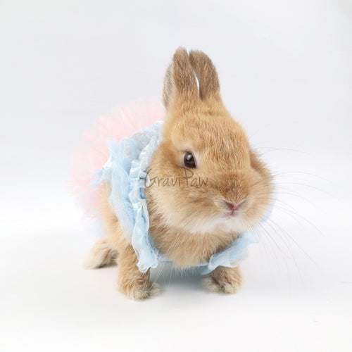 Dog Clothing, Cat & Rabbit Tutu Dress – Pastel Princess