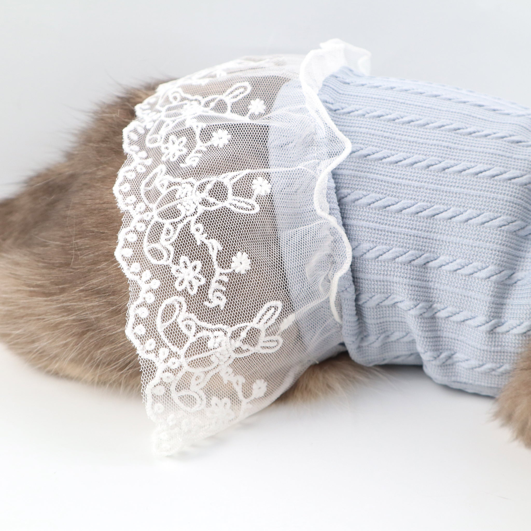 Blue Knit Lace Pet Dress – Cute Outfit for Rabbits, Cats & Small Dogs