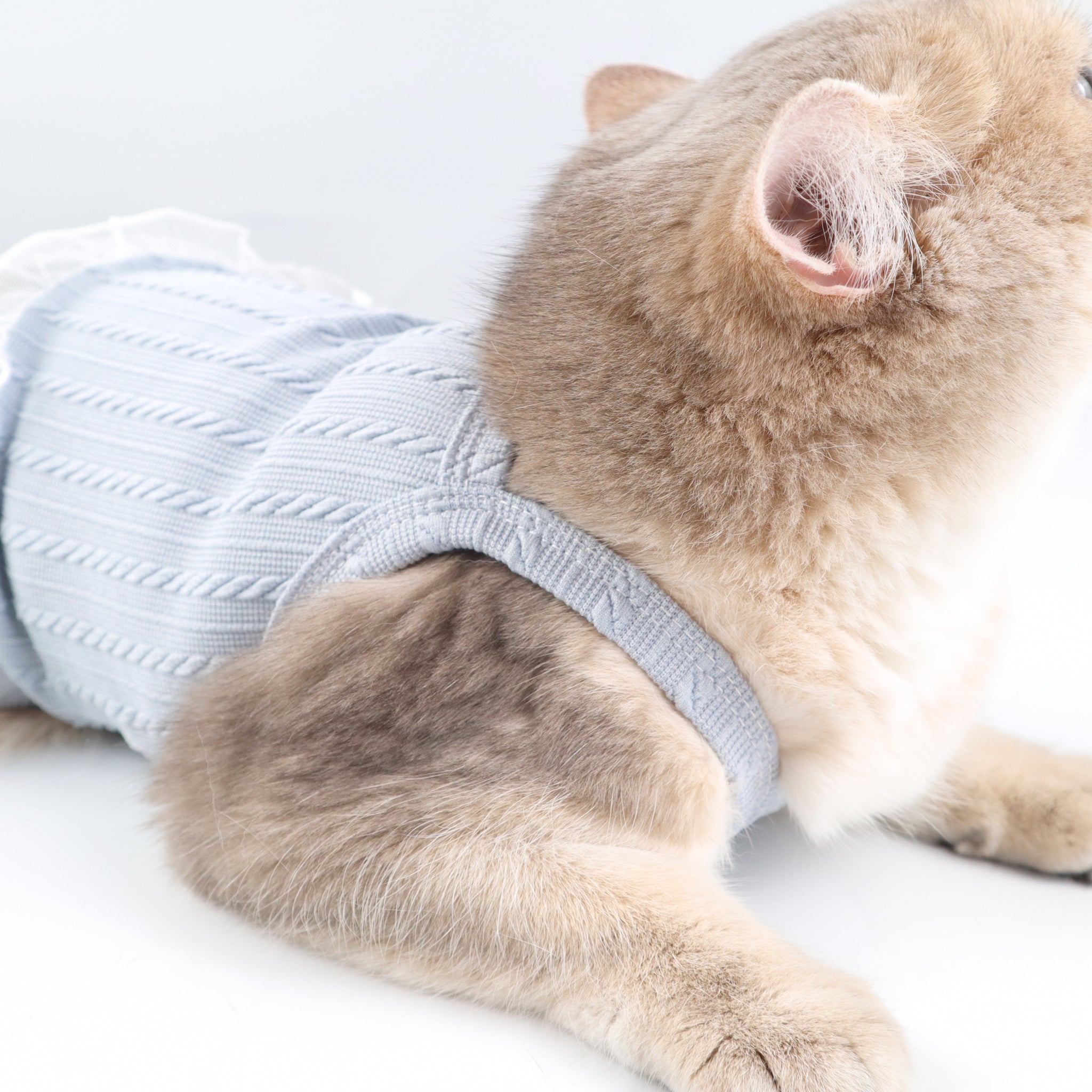 Blue Knit Lace Pet Dress – Cute Outfit for Rabbits, Cats & Small Dogs