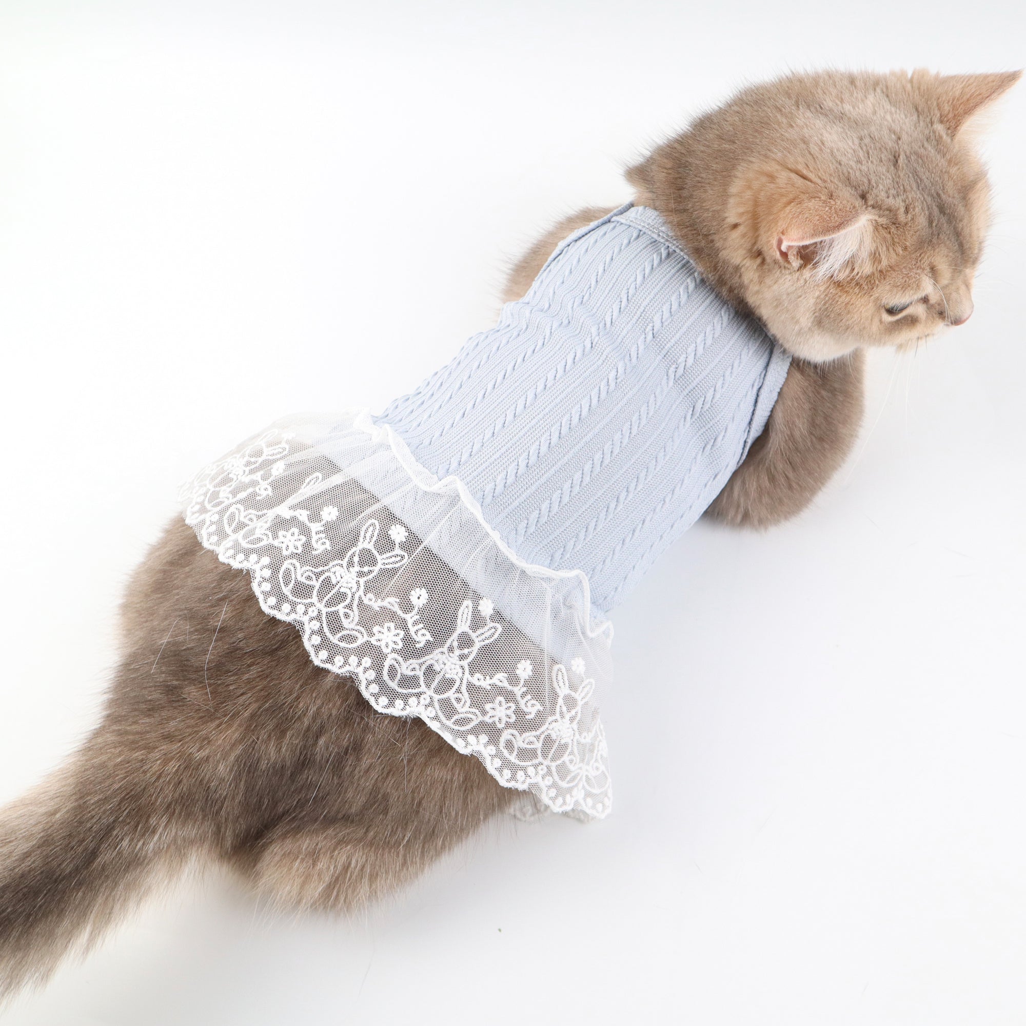 Blue Knit Lace Pet Dress – Cute Outfit for Rabbits, Cats & Small Dogs