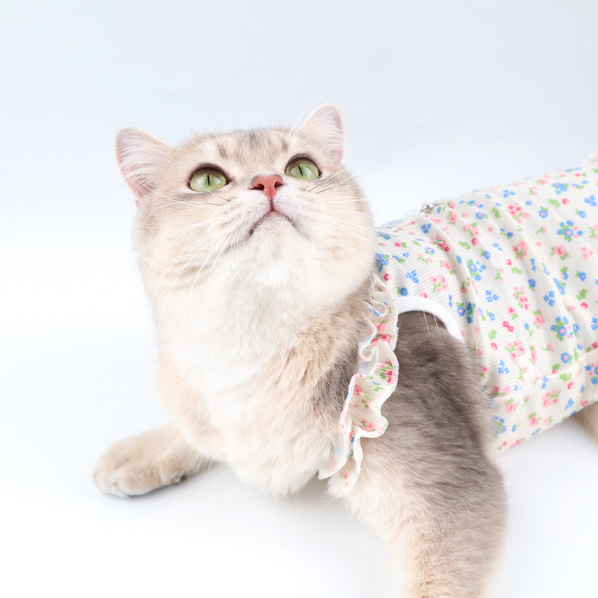 Floral Ruffle Pet Dress with Harness Ring – For Cats, Rabbits & Small Dogs