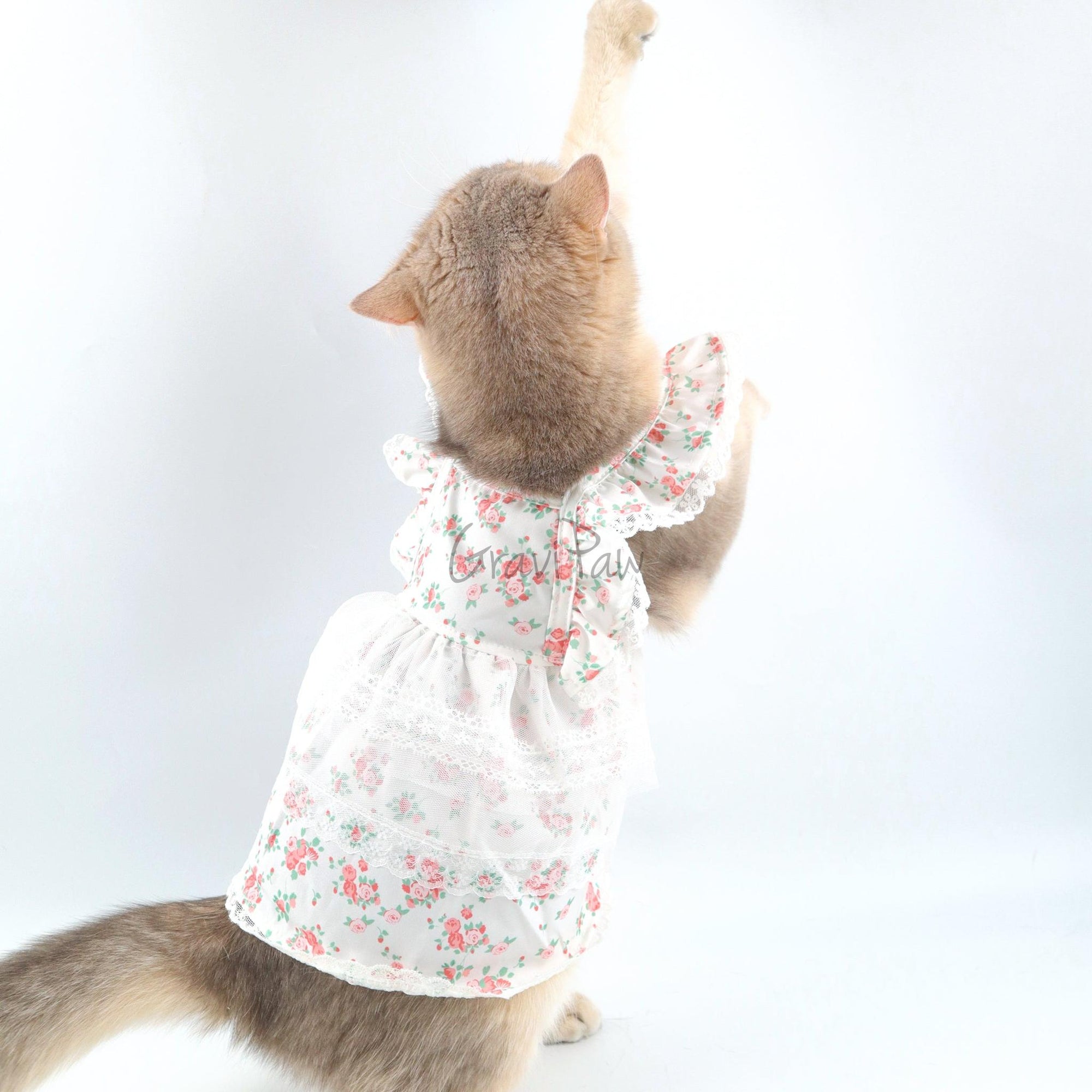 Floral Lace Pet Dress – Elegant Outfit for Rabbits, Cats & Small Dogs