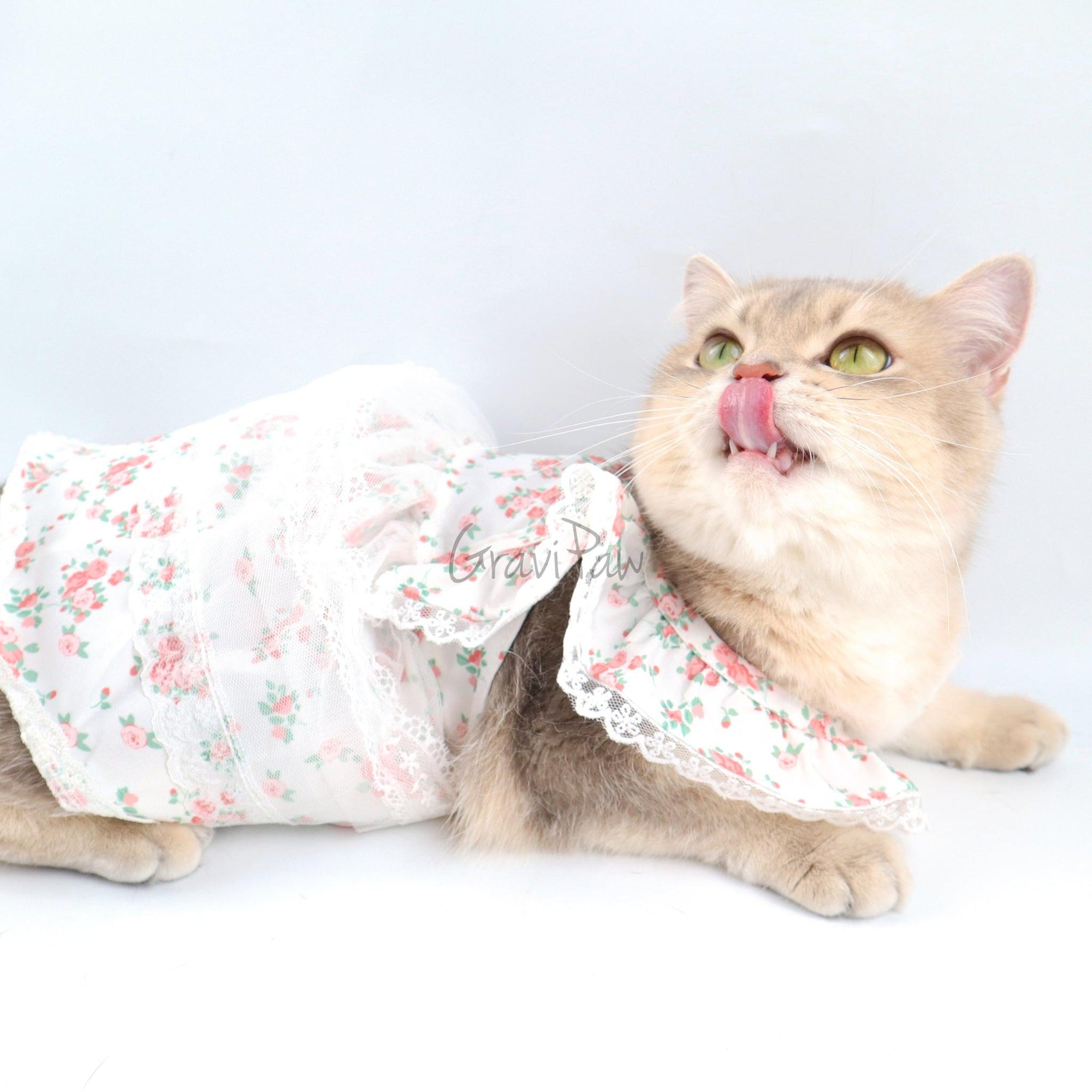 Floral Lace Pet Dress – Elegant Outfit for Rabbits, Cats & Small Dogs