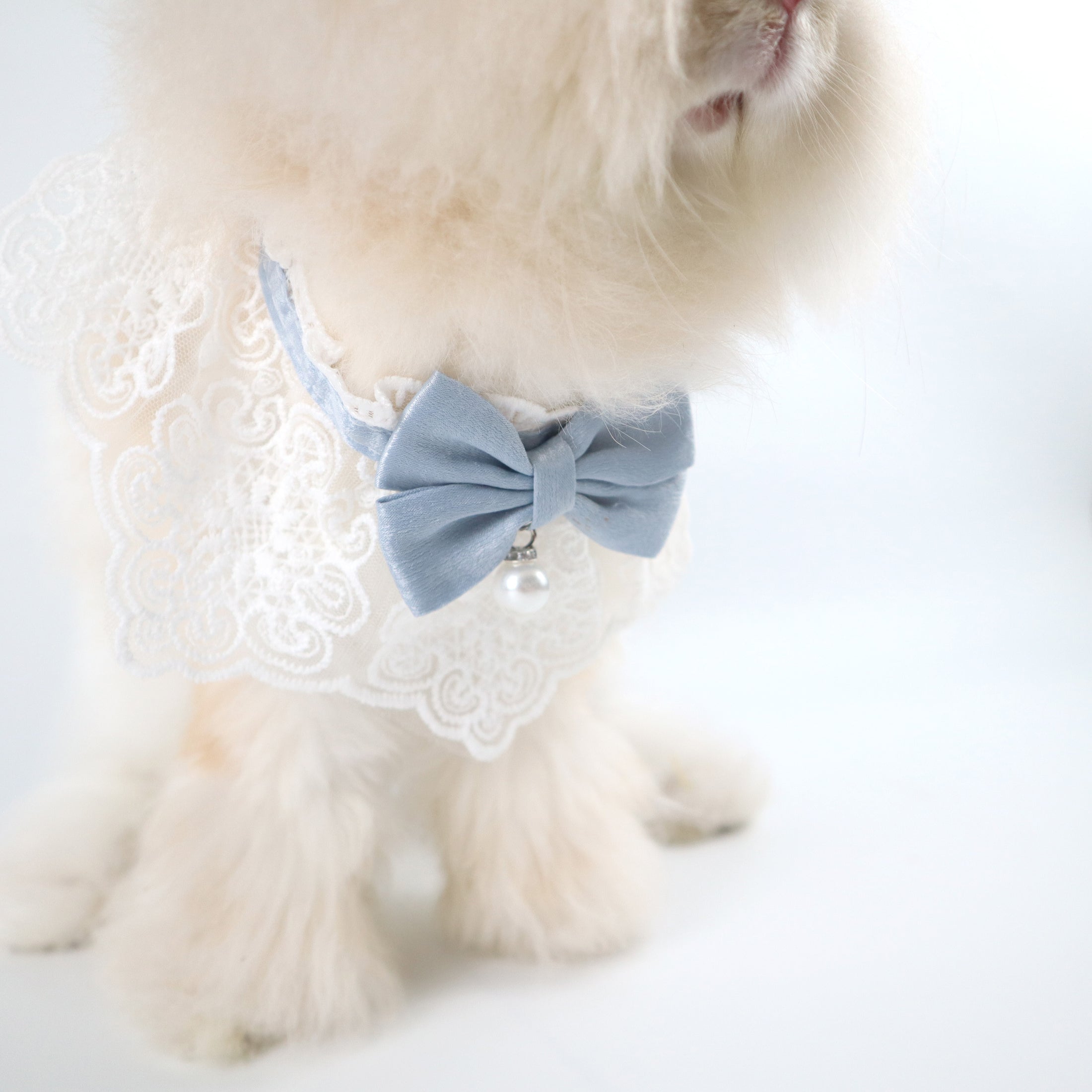 Light Blue Lace Bow Collar with Pearl Charm