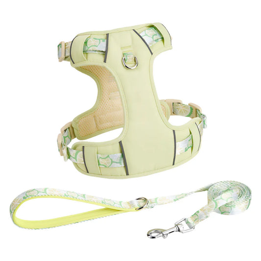 Lemon green mesh dog harness and matching leash set flat lay