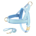 Load image into Gallery viewer, Light blue leather mesh dog harness with matching leash flat lay showing adjustable straps and gold hardware
