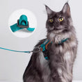 Load image into Gallery viewer, Maine Coon cat wearing teal lightweight adjustable harness with leash
