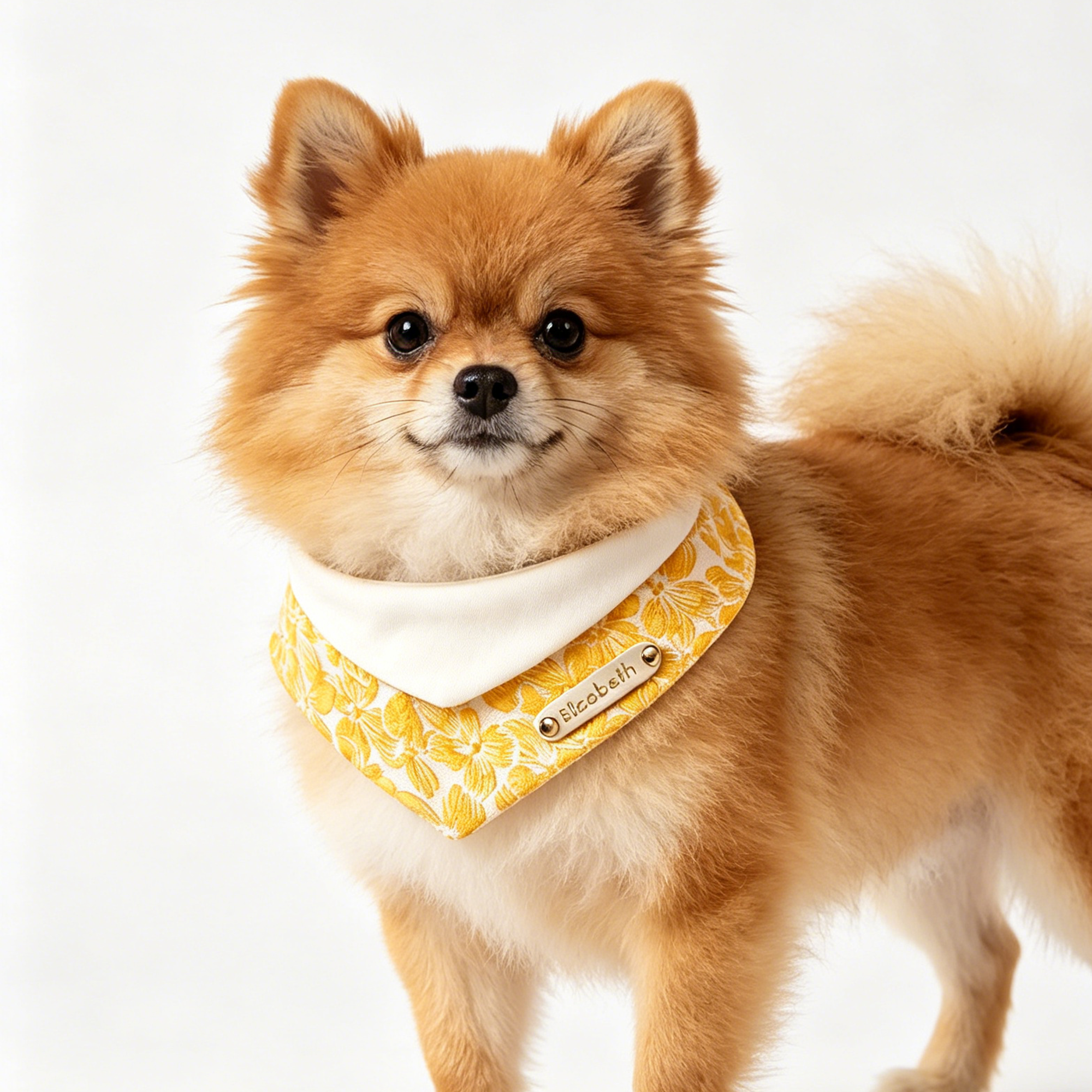 Small dog wearing a yellow bandana with a brand logo on a white background