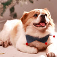 Load image into Gallery viewer, small dog wearing decorative pom pom pet bandana
