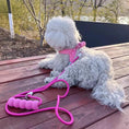 Load image into Gallery viewer, White dog with a pink harness and leash sitting on a wooden deck.
