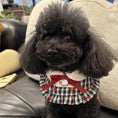 Load image into Gallery viewer, Black Poodle wearing blue plaid ruffle bow bandana pet collar
