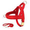 Load image into Gallery viewer, Red leather adjustable no pull dog harness with matching leash flat lay showing gold buckle hardware
