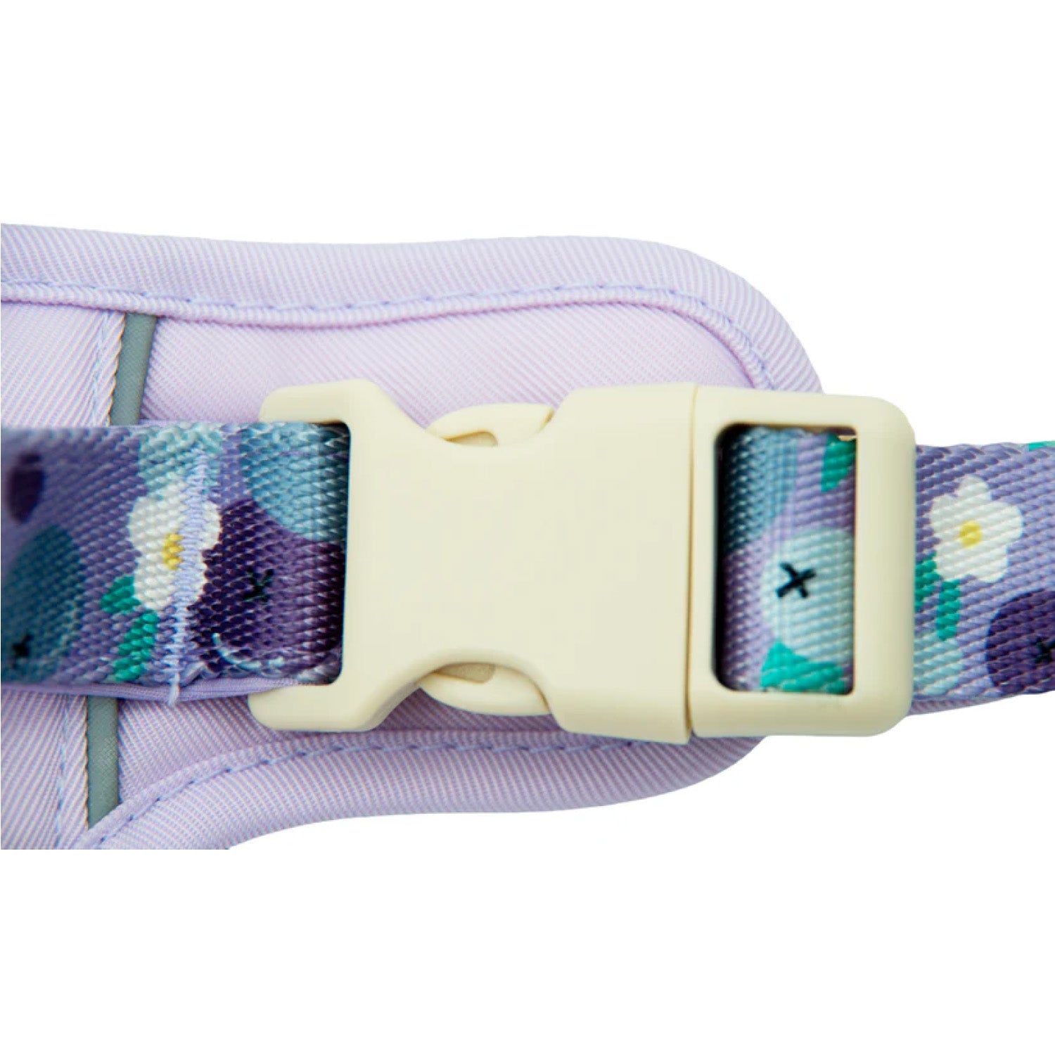 Close-up of quick-release buckle and reflective strap on purple blueberry dog harness