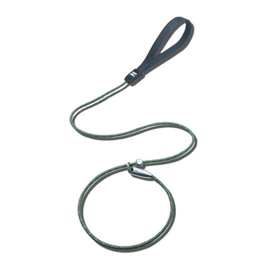 Green reflective dog slip leash with sliding loop on white background