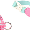 Load image into Gallery viewer, Reinforced alloy D-ring and mint nylon strap detail on dog harness
