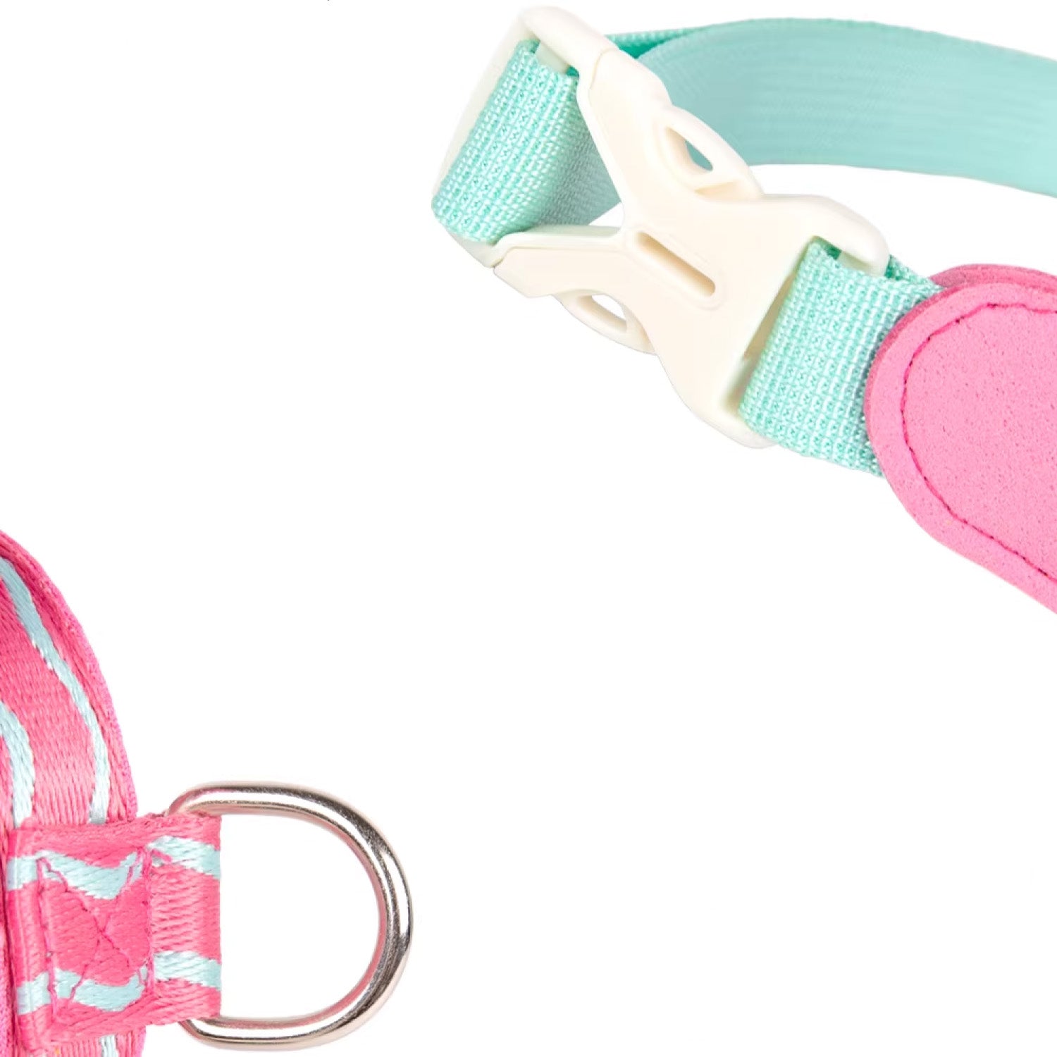 Reinforced alloy D-ring and mint nylon strap detail on dog harness