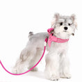 Load image into Gallery viewer, White Schnauzer wearing pink adjustable soft mesh vest harness with leash
