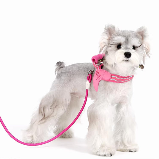 White Schnauzer wearing pink adjustable soft mesh vest harness with leash