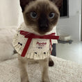 Load image into Gallery viewer, Siamese cat wearing cream ruffle collar with red ribbon princess style
