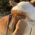 Load image into Gallery viewer, Side view of corgi wearing adjustable V-shaped vest harness
