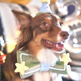 Load image into Gallery viewer, Brown and white border collie dog wearing blue birthday party hat and green bow bandana indoors with star decorations
