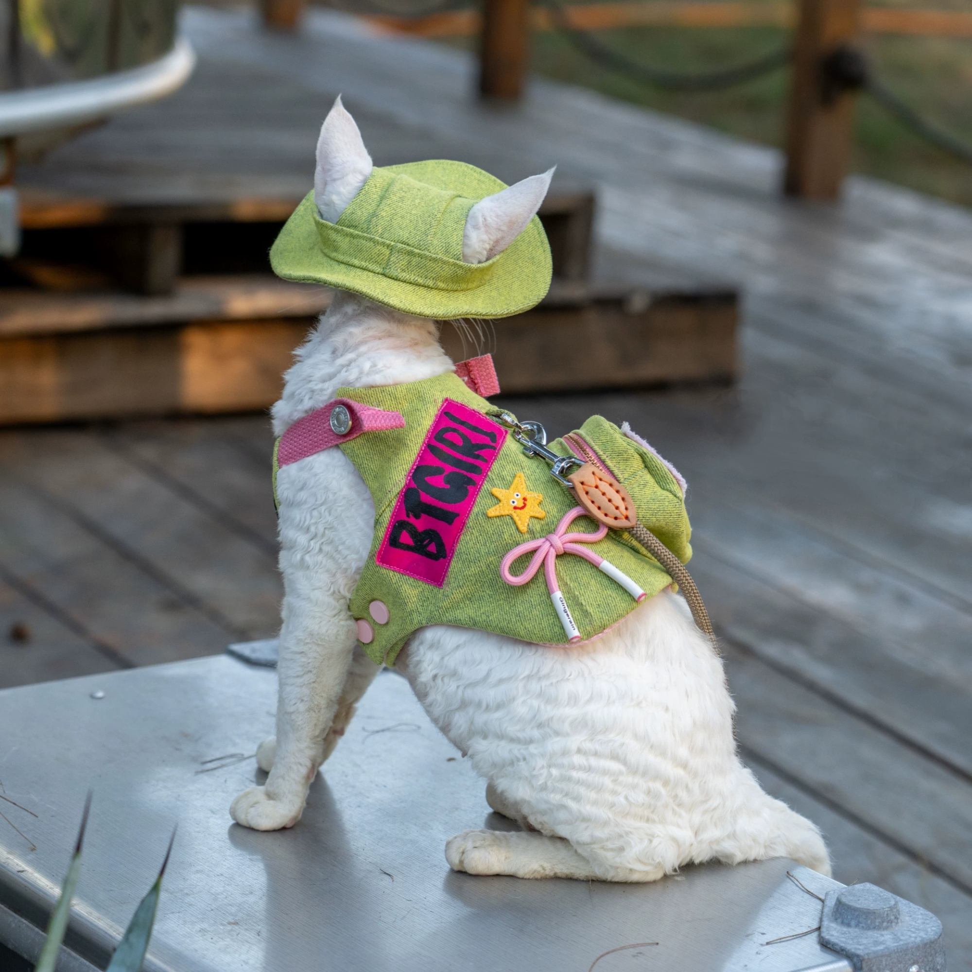 White sphynx cat wearing green cat harness vest with sun hat sitting outdoors on chair